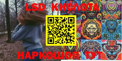 стафф Волгодонск