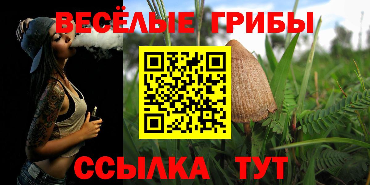 Псилоцибиновые грибы Cubensis Кимры