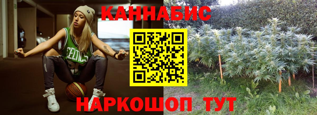 Бошки Шишки MAZAR Кимры